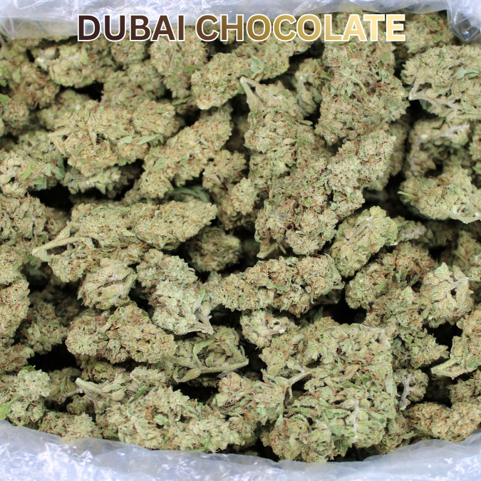 Dubai Chocolate THCA Flower