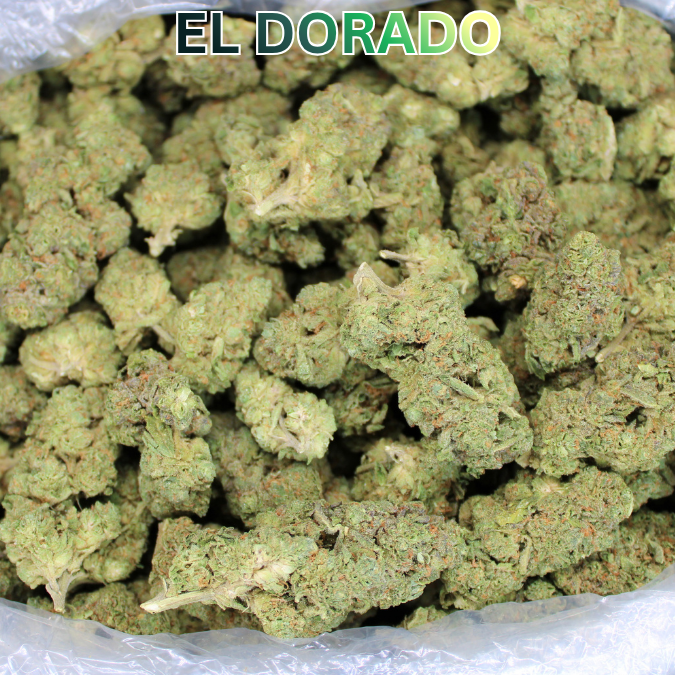 El Dorado THCA Flower