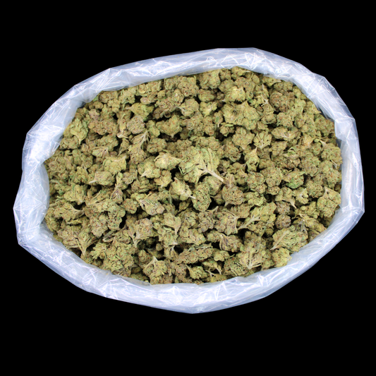 Fidel Runtz THCA Flower