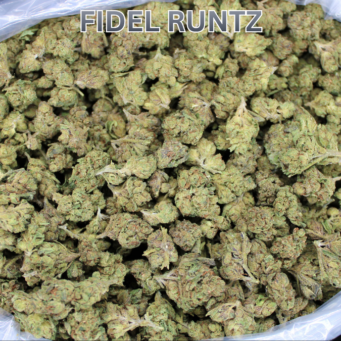 Fidel Runtz THCA Flower