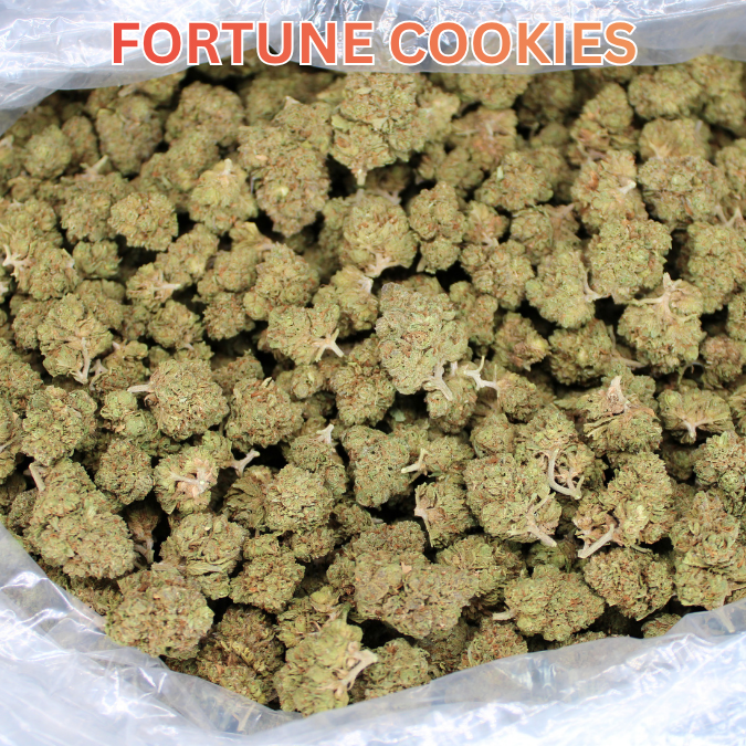 Fortune Cookies THCA Flower