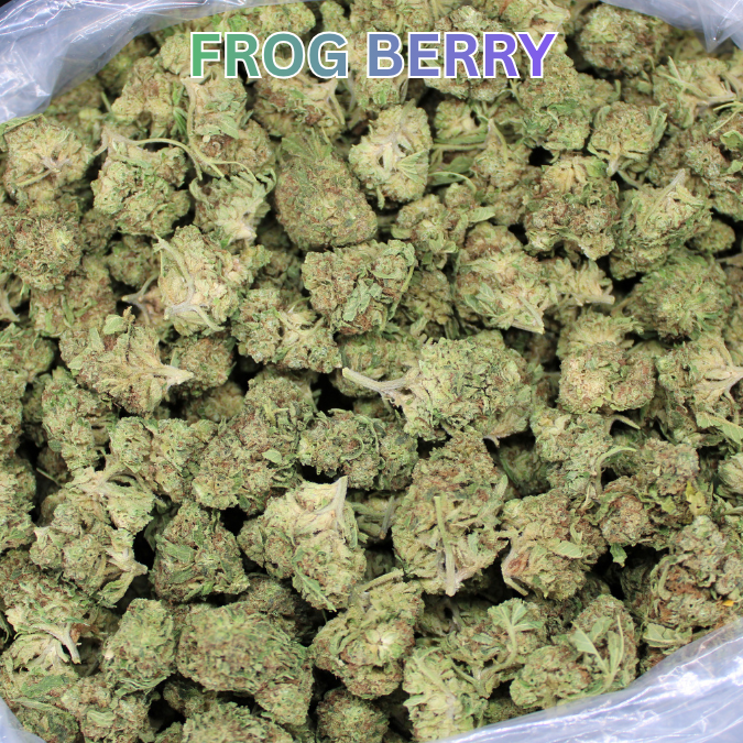 Frog Berry THCA Flower