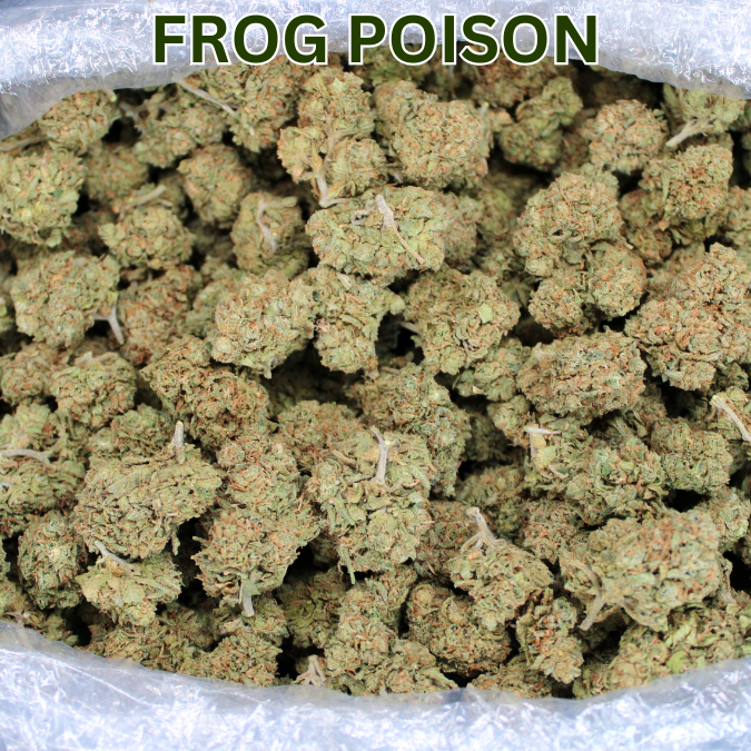Toad Crossing THCA Flower