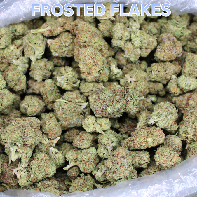 Cheap THCA Flower Quarter Pound