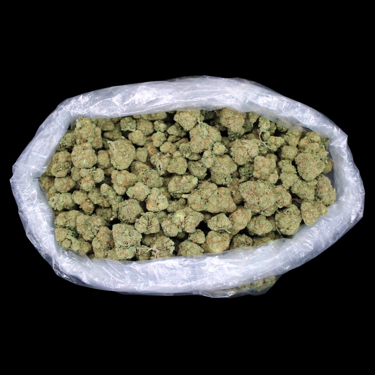Frosted Gumbo THCA Flower