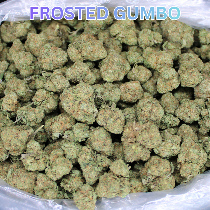 Frosted Gumbo THCA Flower