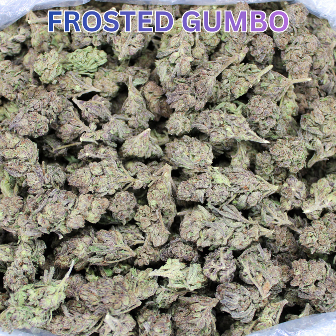 Frosted Gumbo THCA Flower
