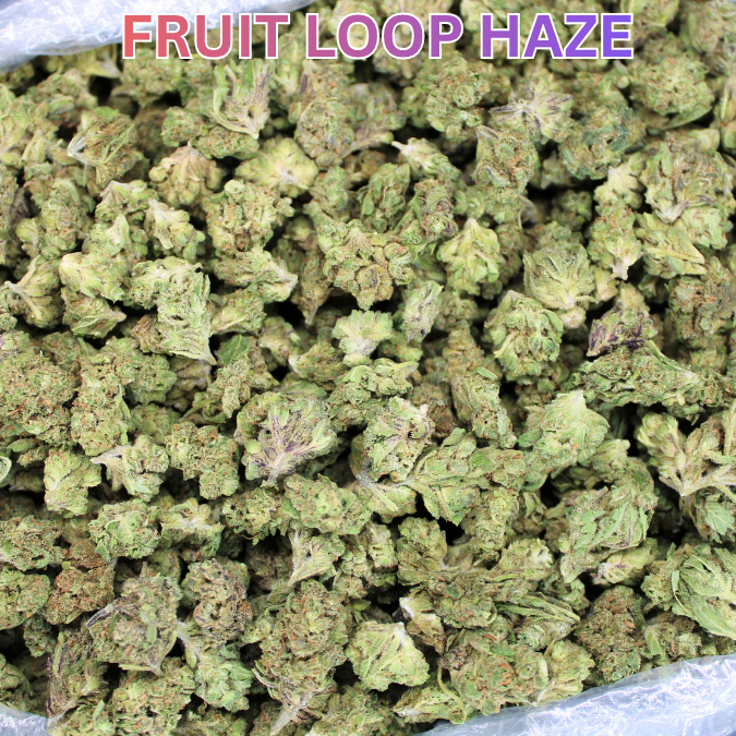 Cheap THCA Smalls Pound