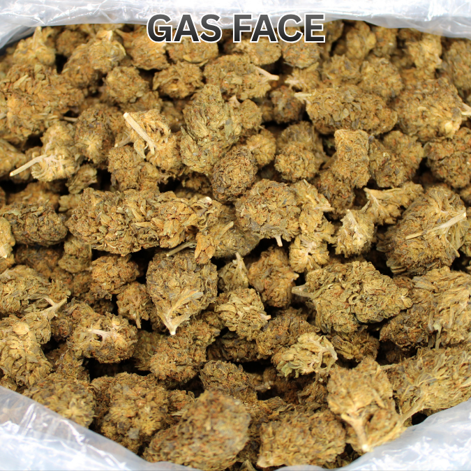 THCA Flower Budget Buds