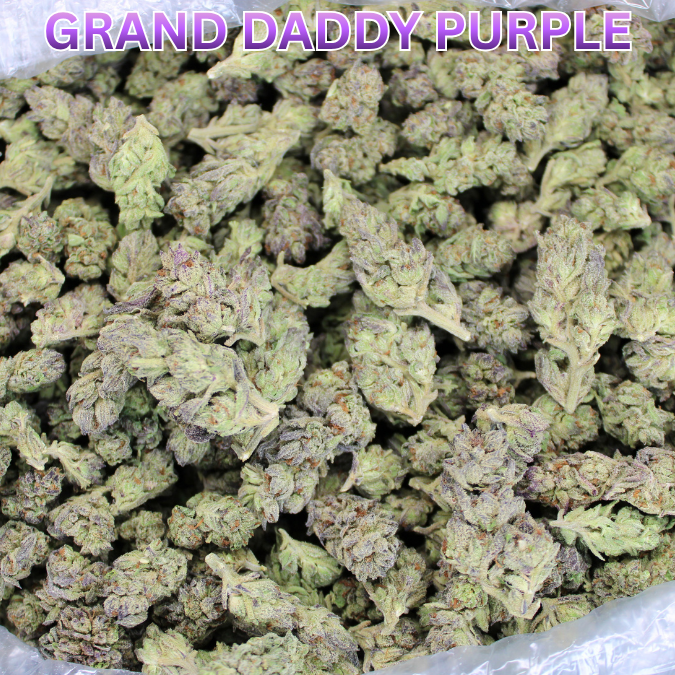 GDP THCA Flower