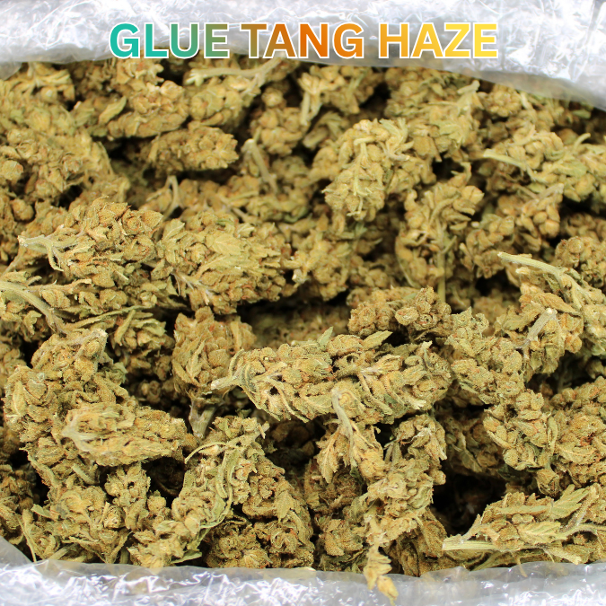 THCA Flower Budget Buds
