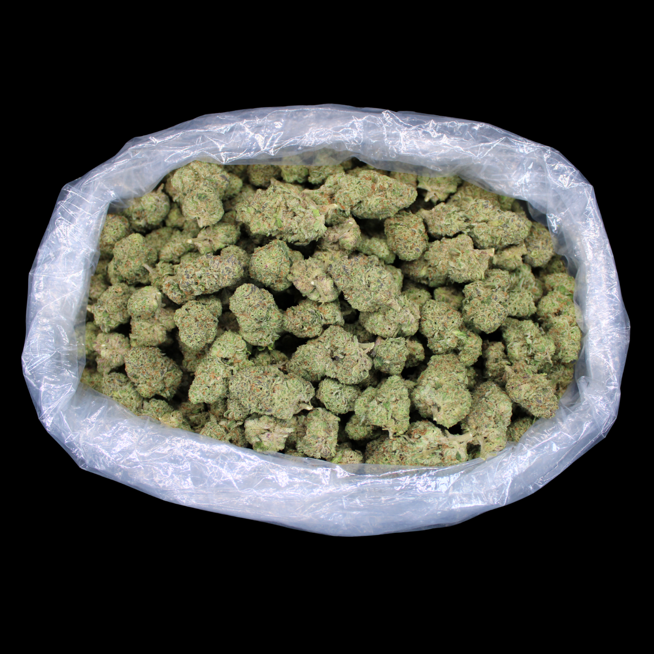 Galactic Punch Exotic THCA Flower