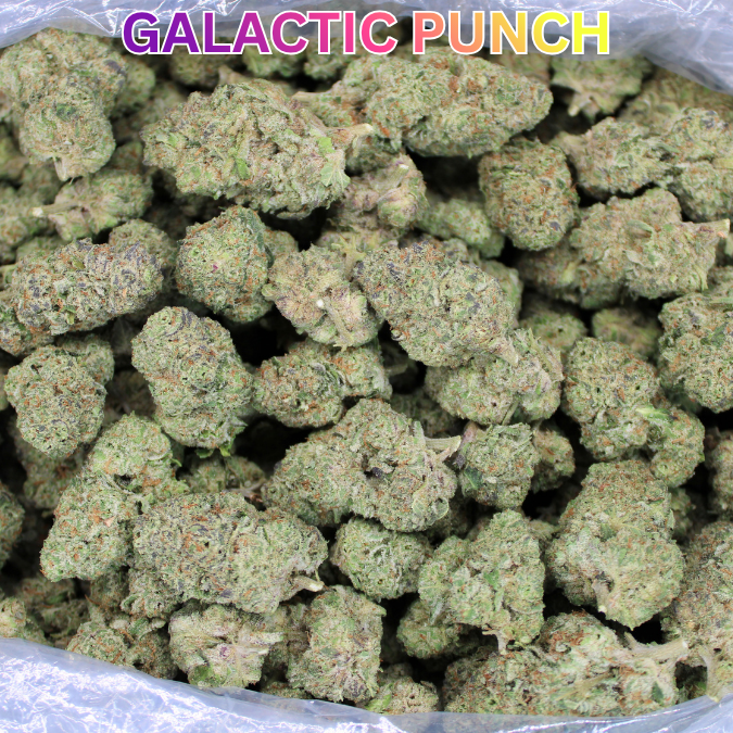 Galactic Punch Exotic THCA Flower