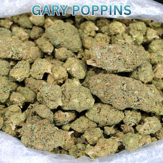 Gary Poppins THCA Flower