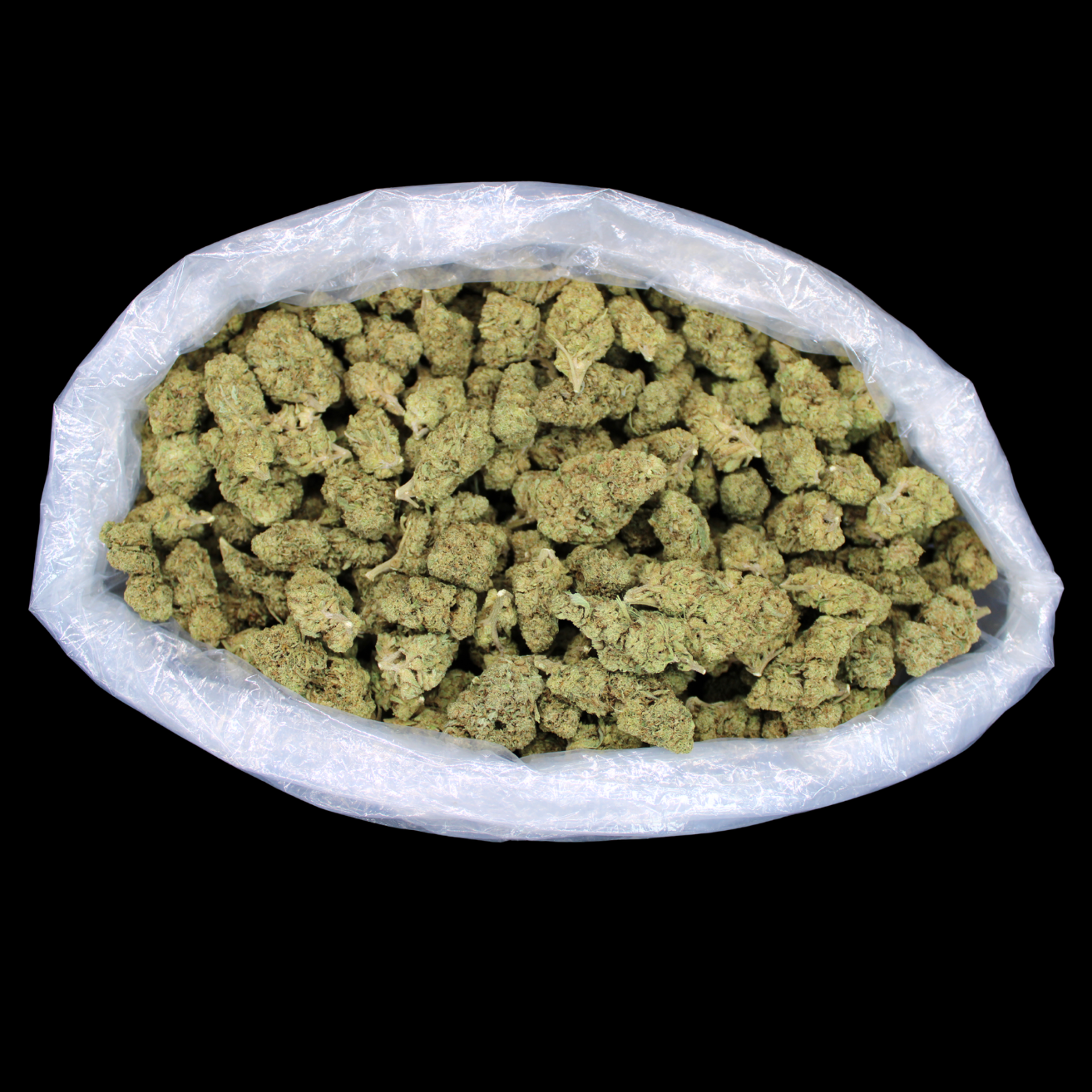 Gatorade THCA Flower