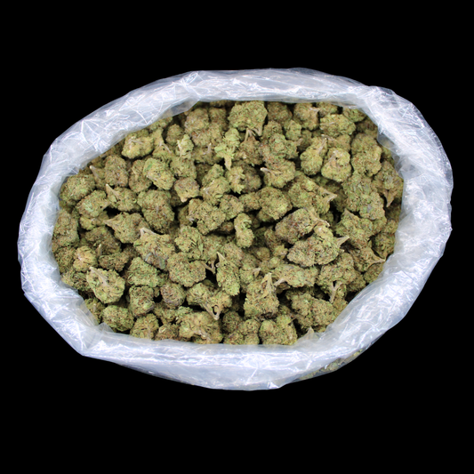 Gelato #45 THCA Flower