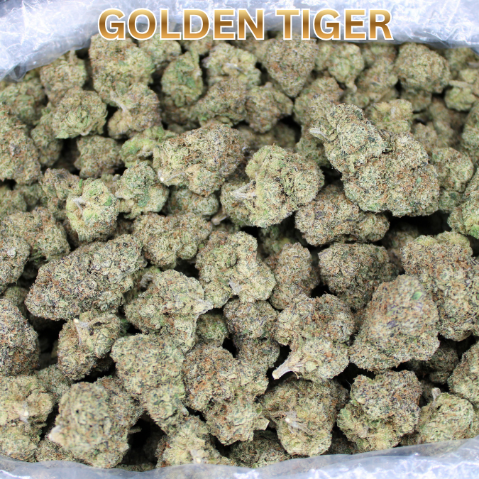 Exotic Indoor Express THCA Flower (7 Grams)