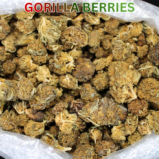THCA Flower Budget Buds