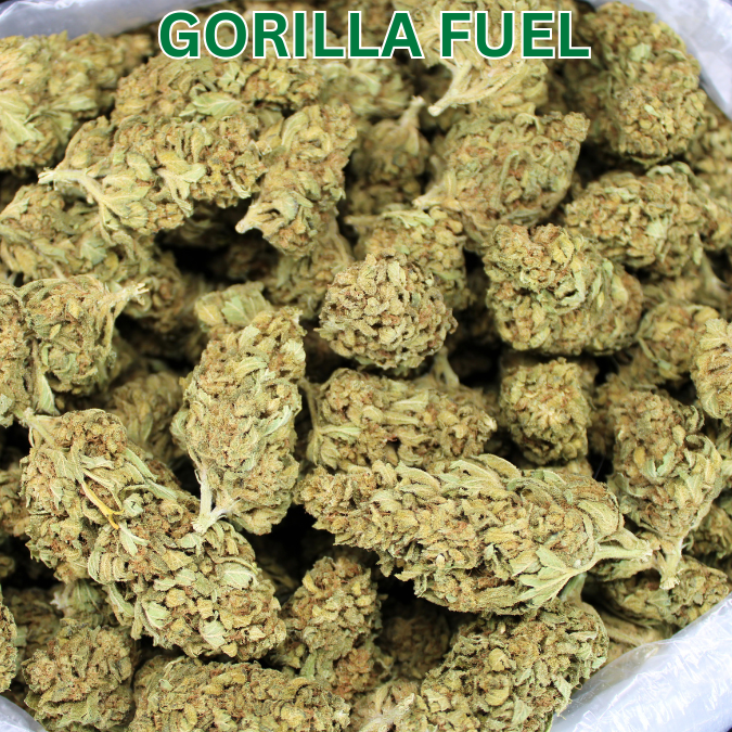 Cheap THCA Flower Ounce