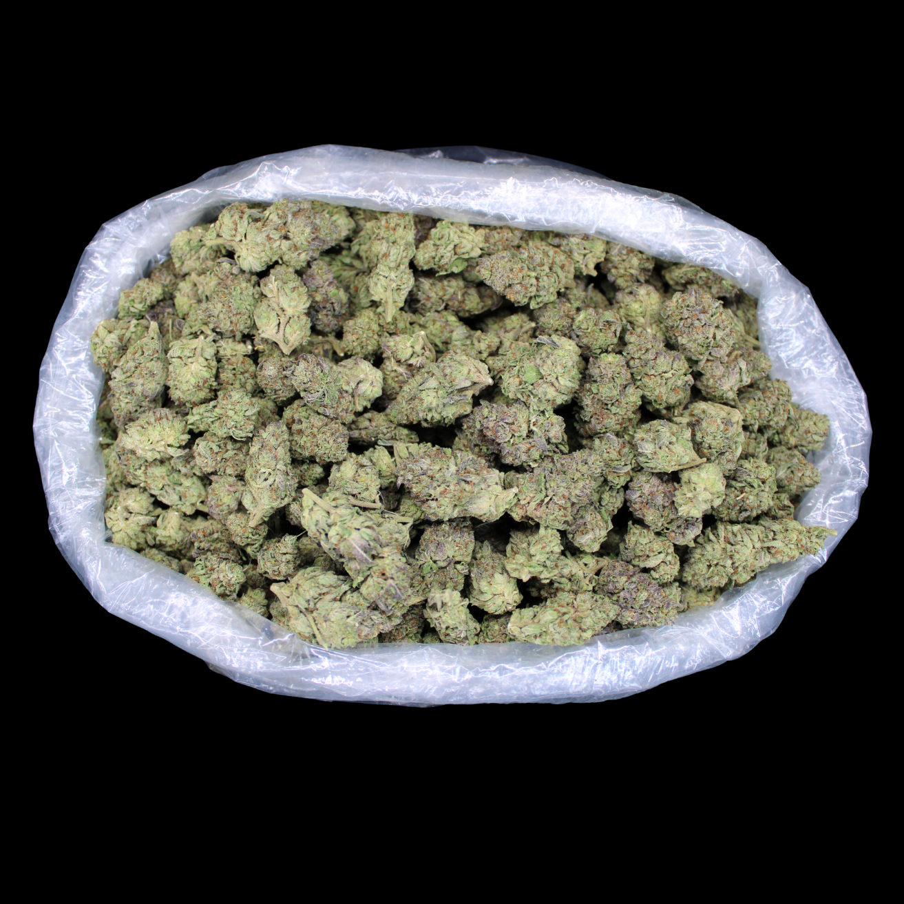 Gorilla Glue THCA Flower