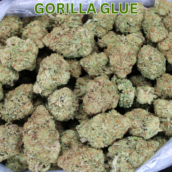 Gorilla Glue THCA Flower