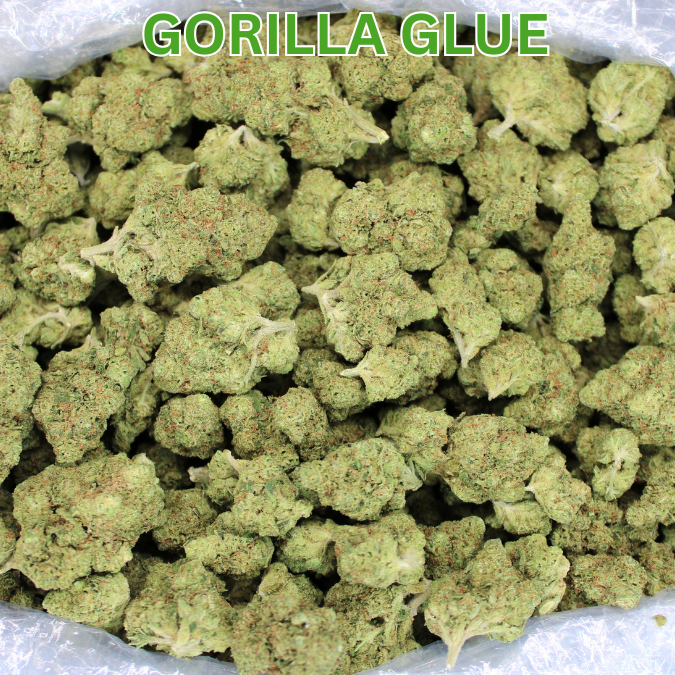 Gorilla Glue THCA Flower