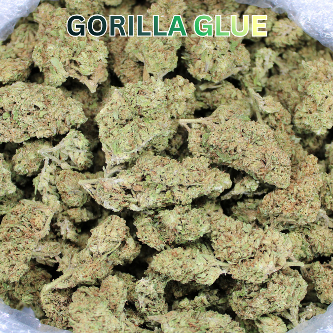 Gorilla Glue THCA Flower