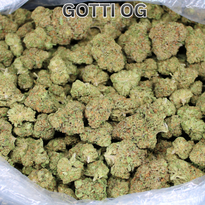 Gotti OG THCA Don Flower