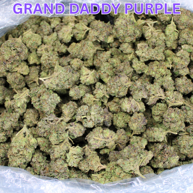 GDP THCA Flower