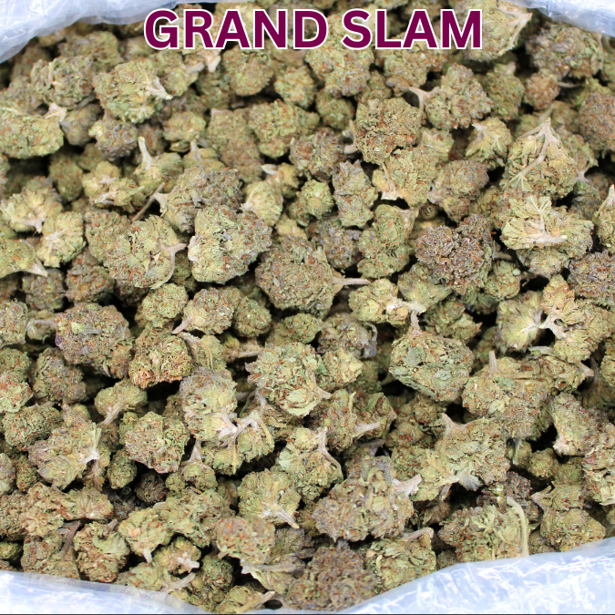 Cheap THCA Smalls Pound