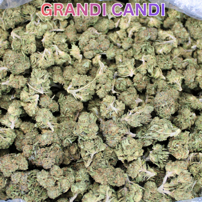 Cheap THCA Flower Ounce