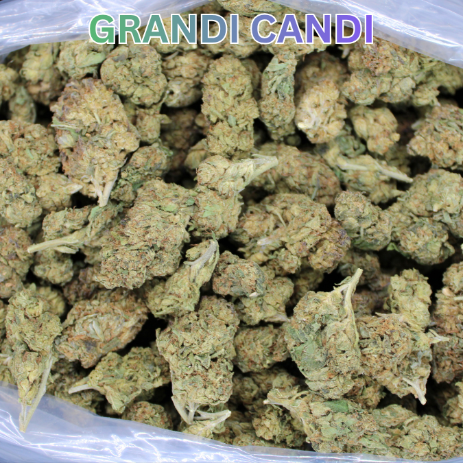 Grandi Candi THCA Flower