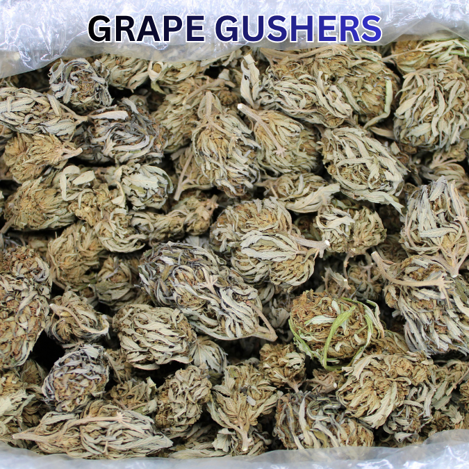 THCA Flower Budget Buds
