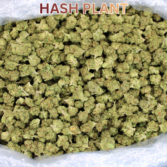 Light Assist THCA Smalls