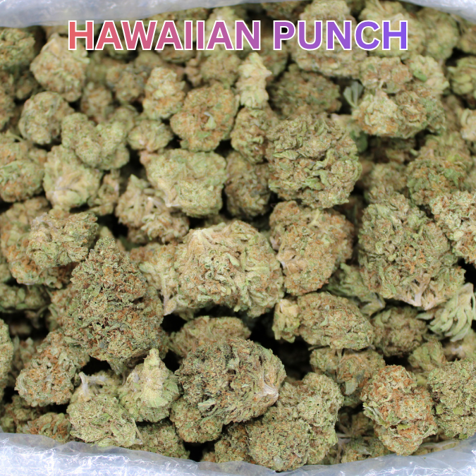 Hawaiian Punch THCA Flower