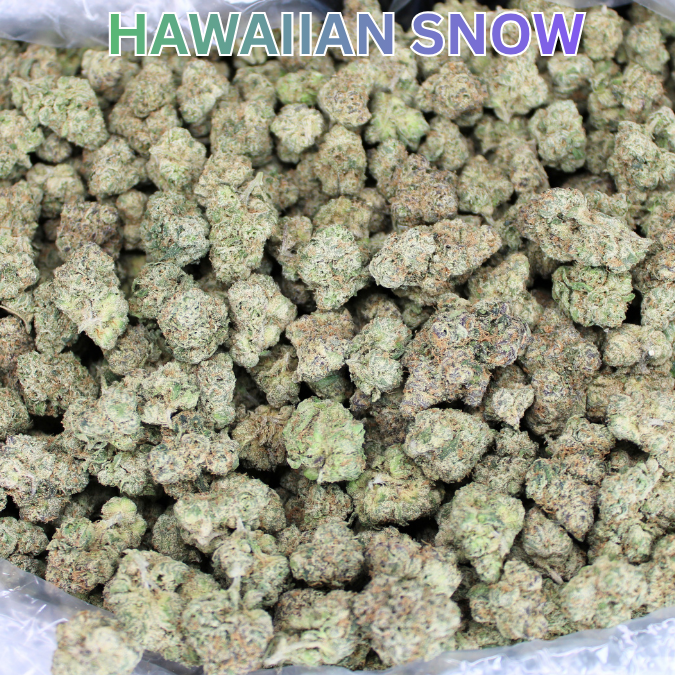 Exotic Indoor Express THCA Flower (7 Grams)