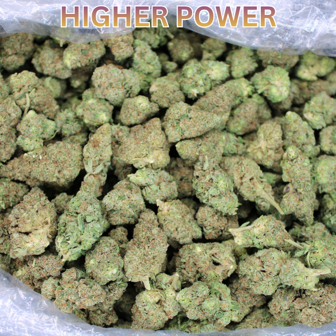Higher Power THCA Flower