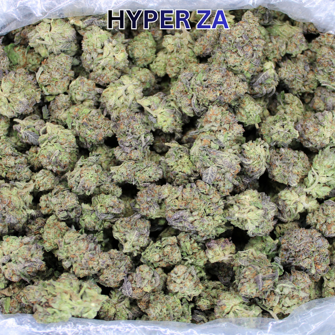 Hyper Za THCA Flower