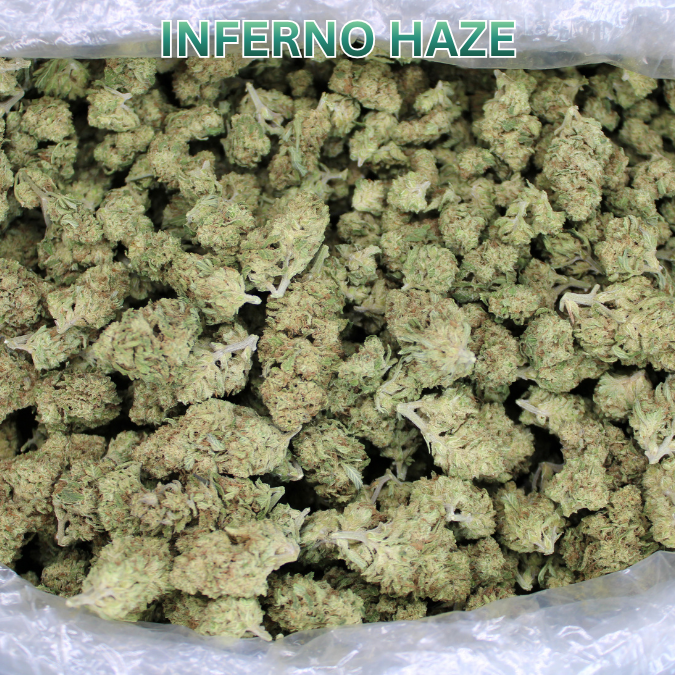 Cheap THCA Flower Quarter Pound