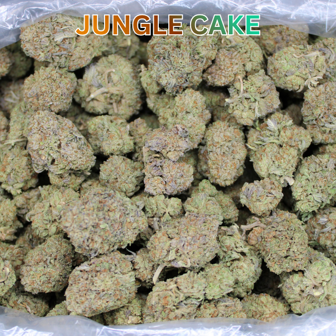 Cheap Indoor THCA Flower Ounce