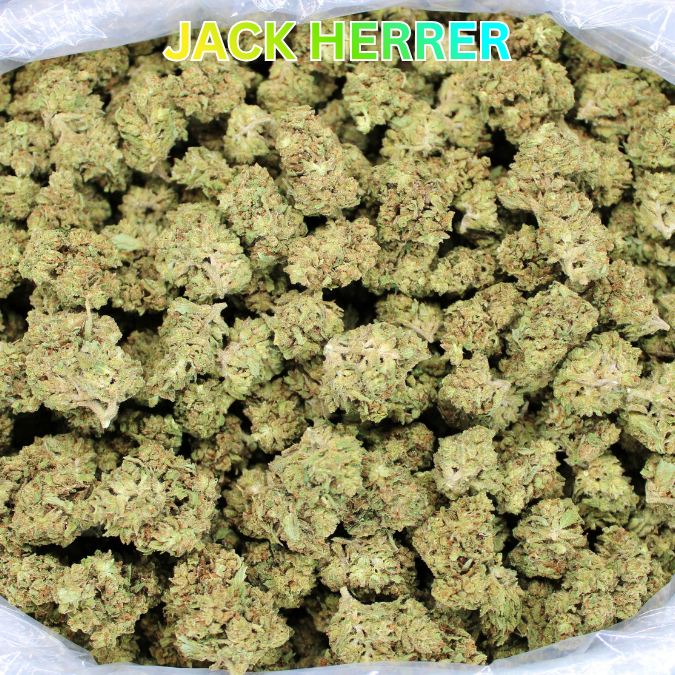 Cheap THCA Flower Ounce