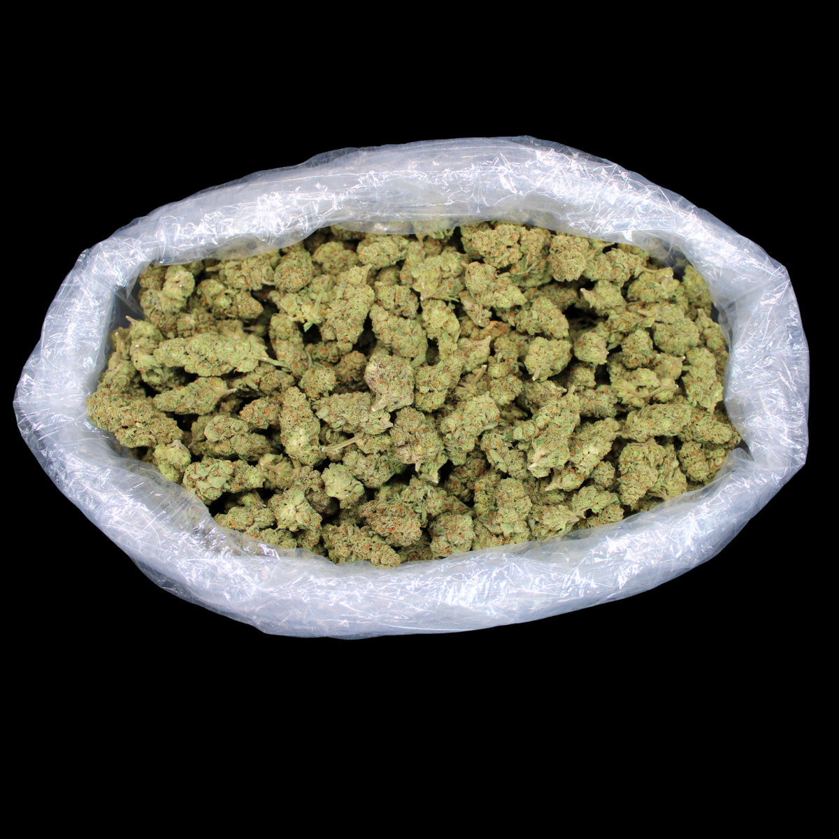 Jack Skellington THCA Flower