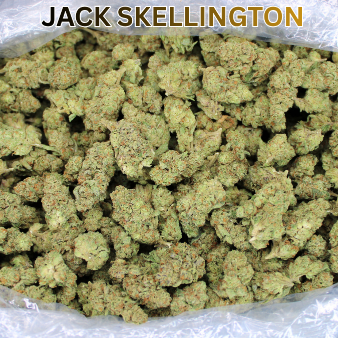 Jack Skellington THCA Flower