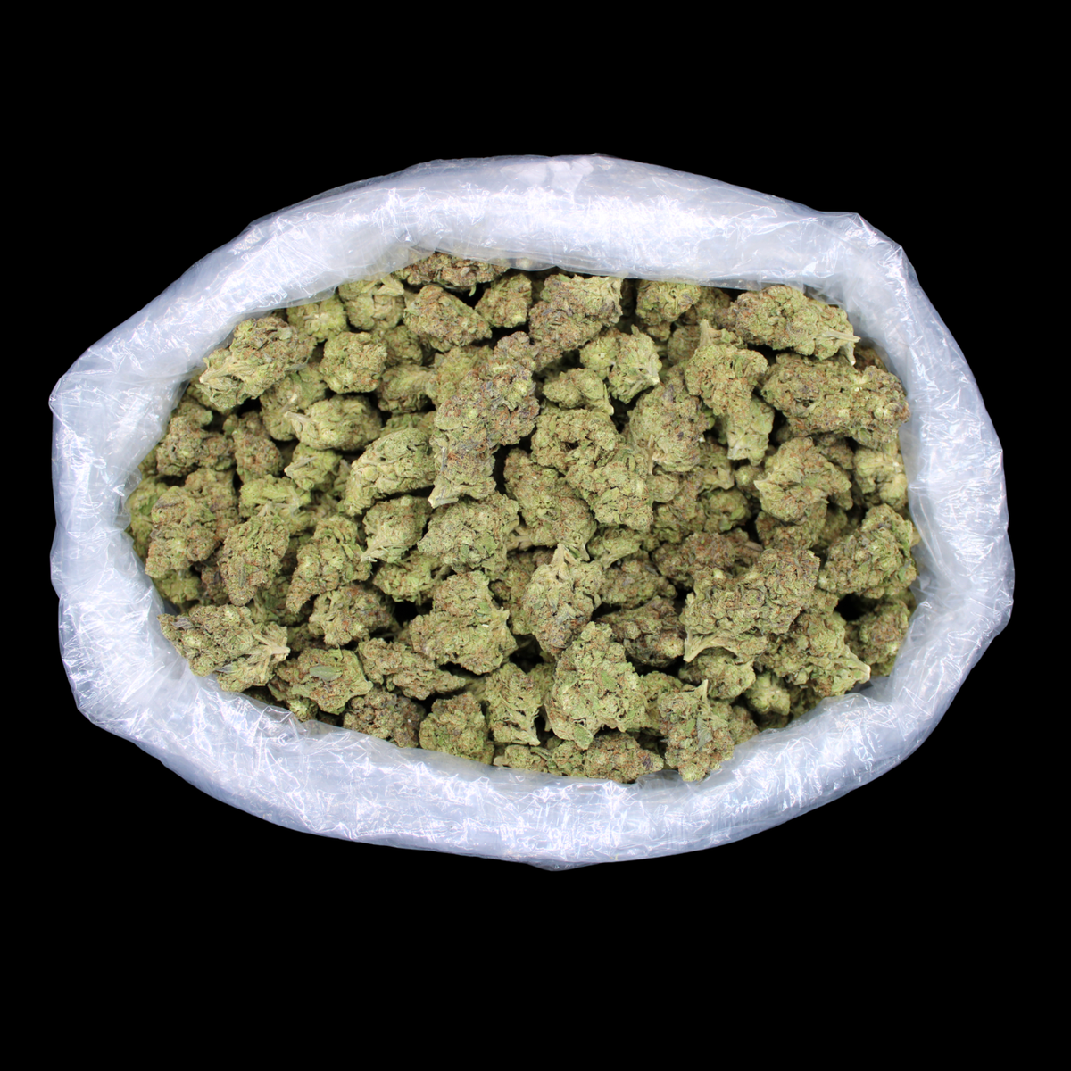Khalifa Kush THCA Flower