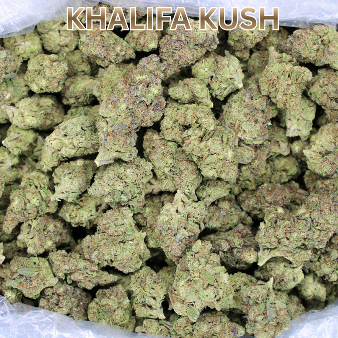 Khalifa Kush THCA Flower