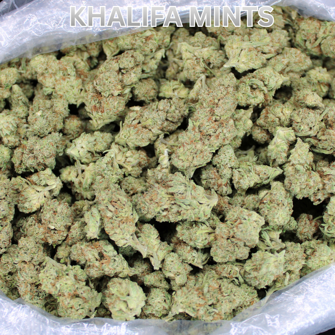 Cheap THCA Flower Pound
