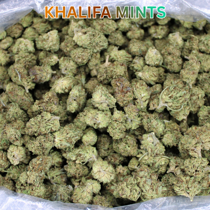 Light Assist THCA Smalls
