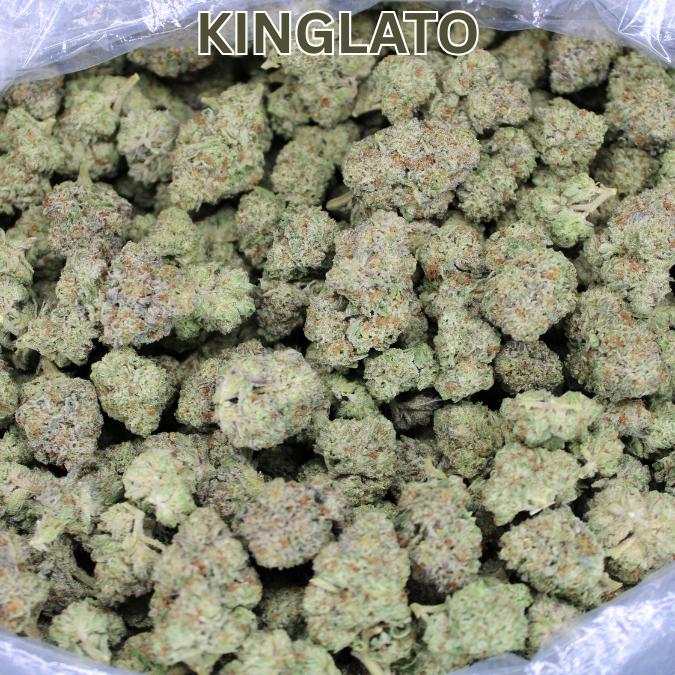 Kinglato THCA Flower
