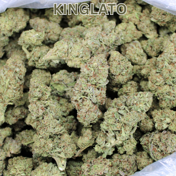 Kinglato THCA Flower