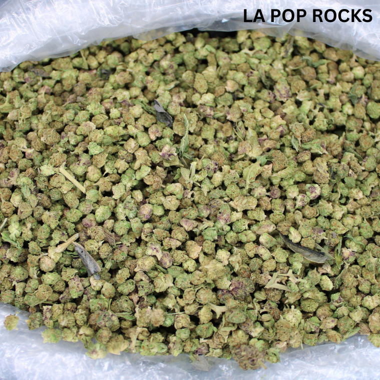 Bulk Indoor THCA Smalls